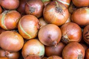 How To Grow Onions Part 1 Msu Extension