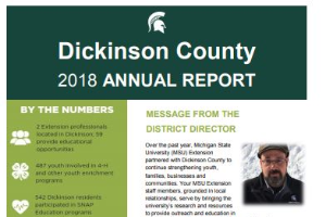 Dickinson County Annual Report: 2018-2019