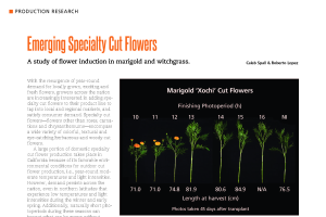 Potted Flowering Plant Production - Floriculture & Greenhouse Crop