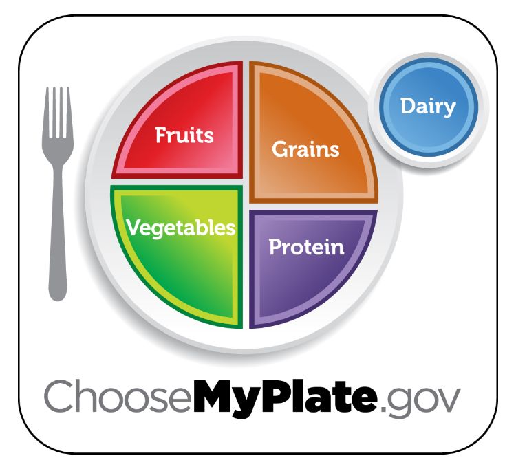 MyPlate, or perhaps commonly known as the “new food guide pyramid,” are examples of how the guidelines influence USDA nutrition icons.