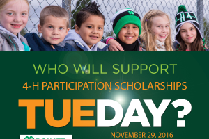 Help provide 4-H Participation Scholarships for youth on Giving Tuesday!