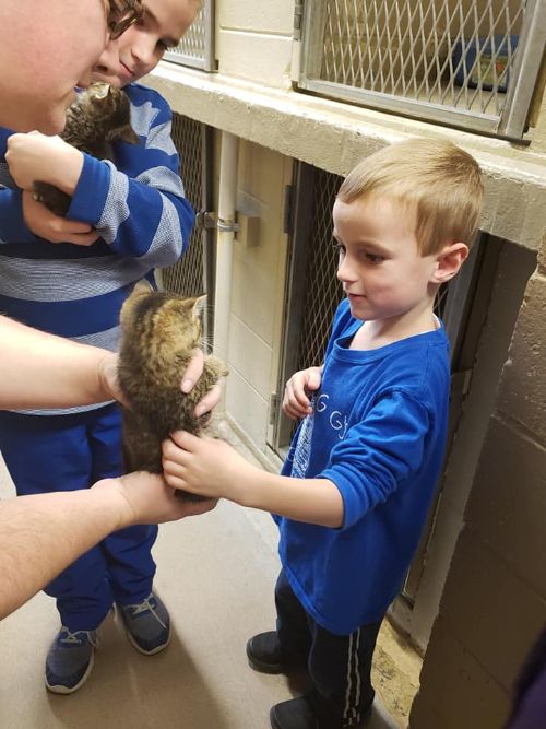 Young boy playing with kitten