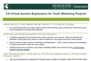 4-H Virtual Auction Explanation for Youth Marketing Projects