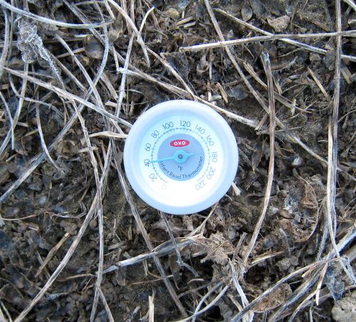 Soil temperatures at 40 F. Taken April 28, 2015 in the early morning in soybean stubble. All photos: Marilyn Thelen, MSU Extension