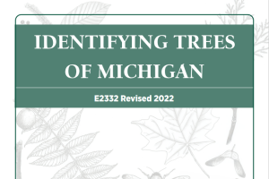 Identifying Trees of Michigan: E2332 Revised 2022