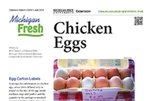 Michigan Fresh: Chicken Eggs (E3216)