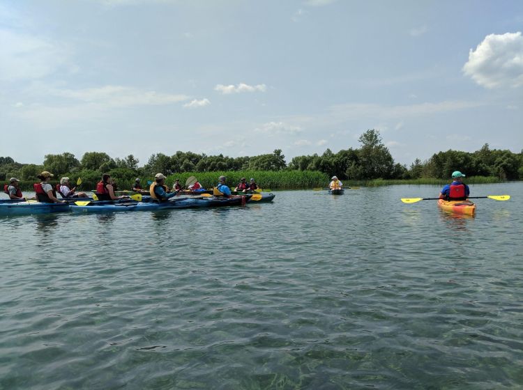 A group of people in kayaks are shown on a river.