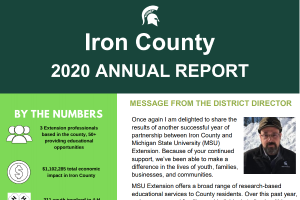 IRON COUNTY 2020 ANNUAL REPORT
