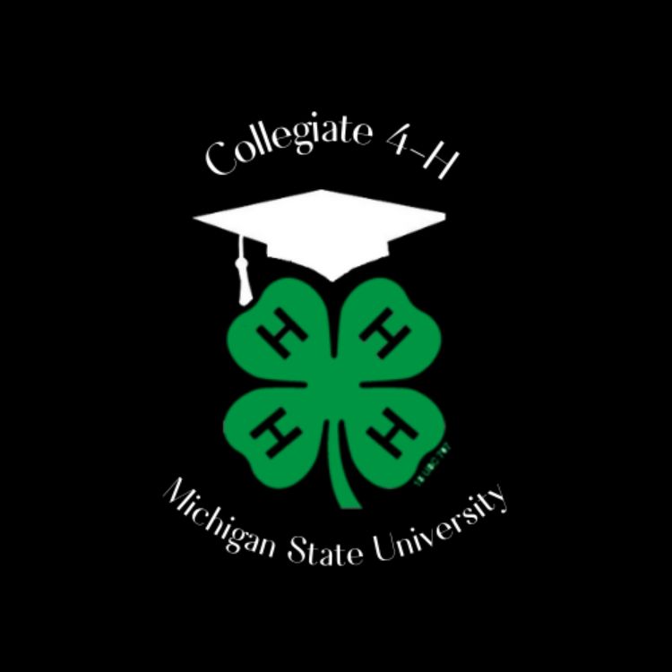 A green 4-H clover on a black background with a white graduation cap and the words Collegiate 4-H Michigan State University.