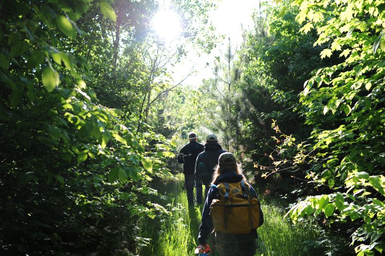 Students walking through a forest with sun shining through trees.