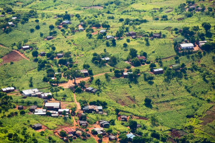 Aerial view of green trees spread over green landscape in Malawi