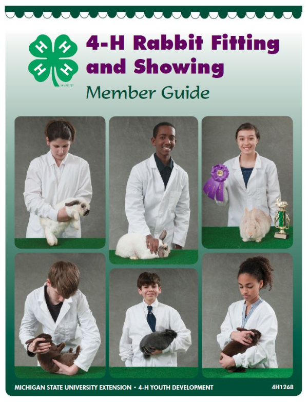 rabbit-fitting-showing-member-s-guide-4h1268-msu-extension