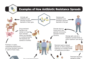 Warning issued over 50 years ago still rings true: CDC renews attention to antibiotic resistance