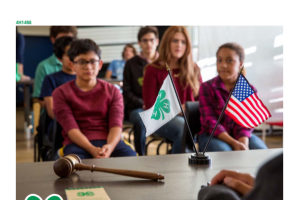So You Are an Officer in Your 4-H Club: President
