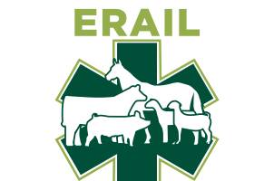 ERAIL Logo