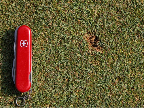 Damaged patch of grass next to Swiss Army Multi Tool 
