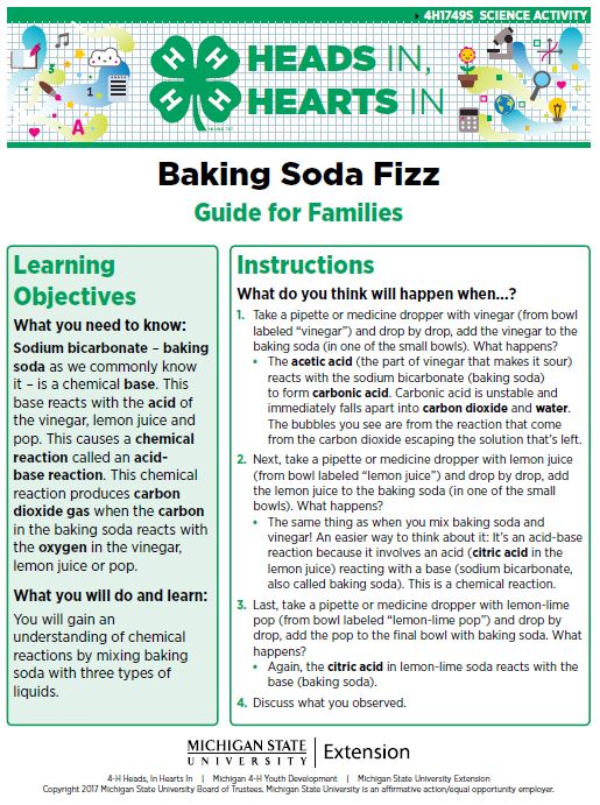 Baking Soda Fizz cover page.