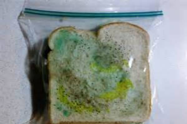 Avoiding mold on food