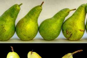 All Fruit And Vegetables Are Not Created Equal When It Comes To Proper Storage Conditions Food Preservation