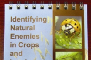 Identifying Natural Enemies in Crops and Landscapes (E2949)