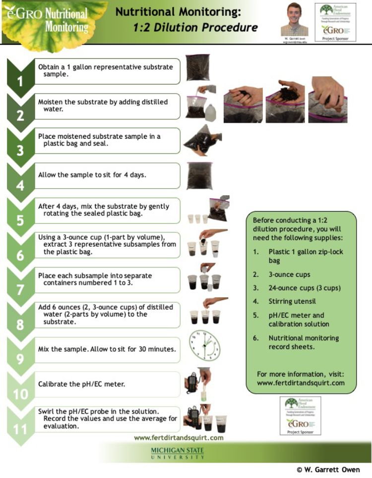 Outline for the steps taken to perform a 1:2 dilution procedure