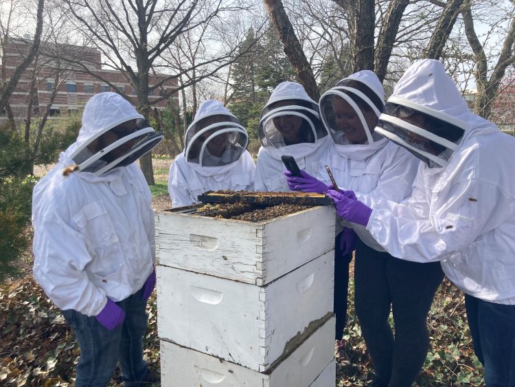 Students examine a honey bee hive.