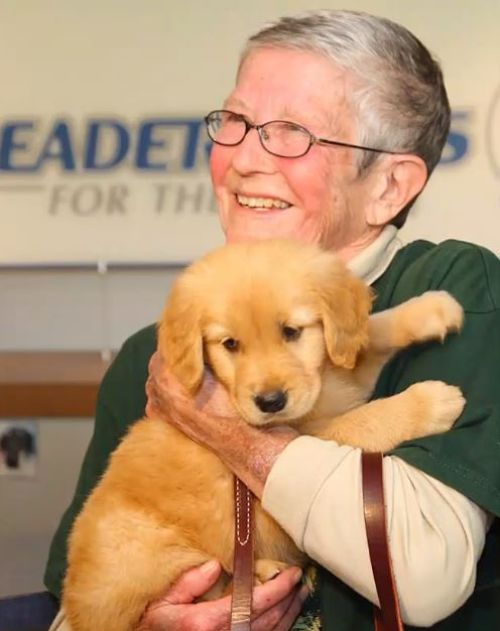 Michigan 4-H and Leader Dogs for the Blind celebrate the legacy of Nan  Nellenbach with re-launch of 4-H Leader Dog Program - 4-H Companion Animals