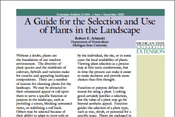 IV. Best Practices for Planting Shrubs