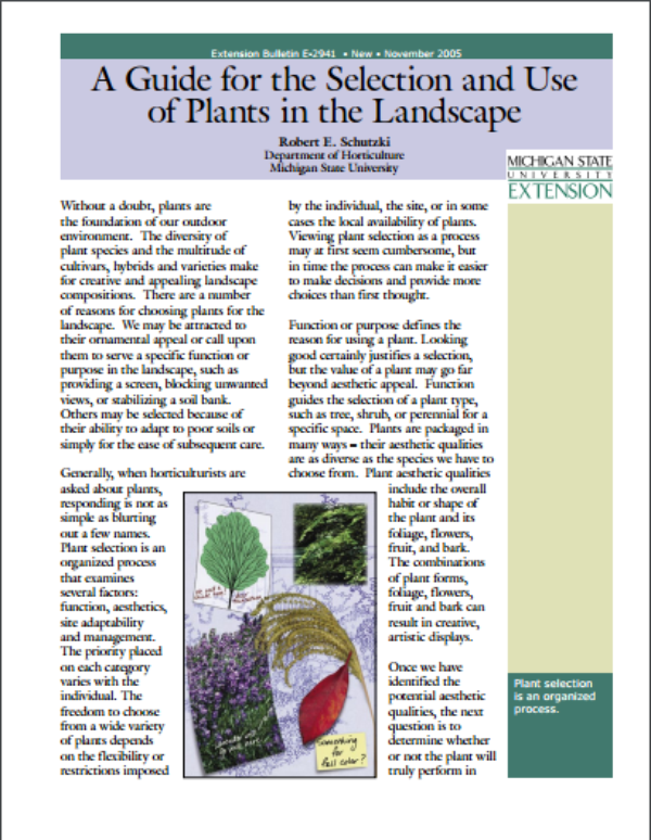 A Brief Guide to the Different Flower Types, Shapes, and Growing Patterns