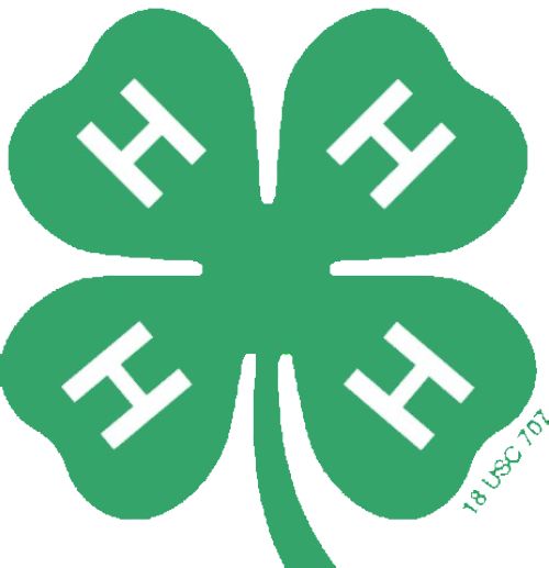 The green 4-H clover with a large H on each of the four clover parts.