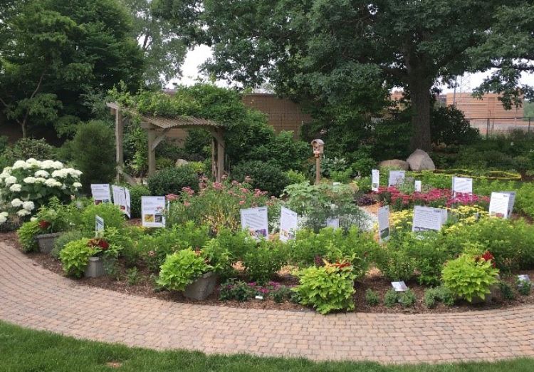 Many volunteering opportunities are available for Master Gardeners in west Michigan. Photo by Rebecca Finneran, MSU Extension.
