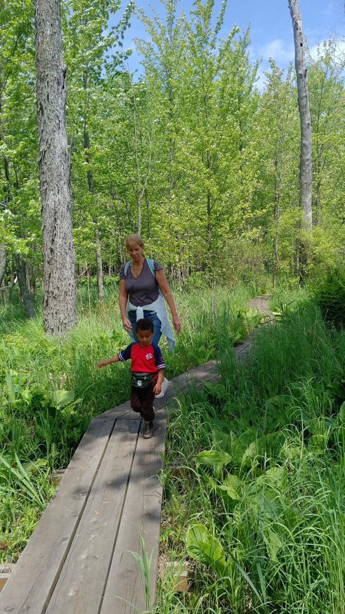 Laws protecting wetlands from development are critical for flood mitigation. Natural areas work because they absorb and filter stormwater. (Photo by Monica Day)