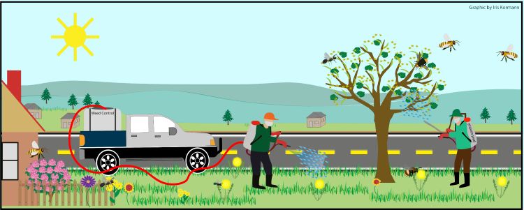 Illustration of a pesticide application along a road.