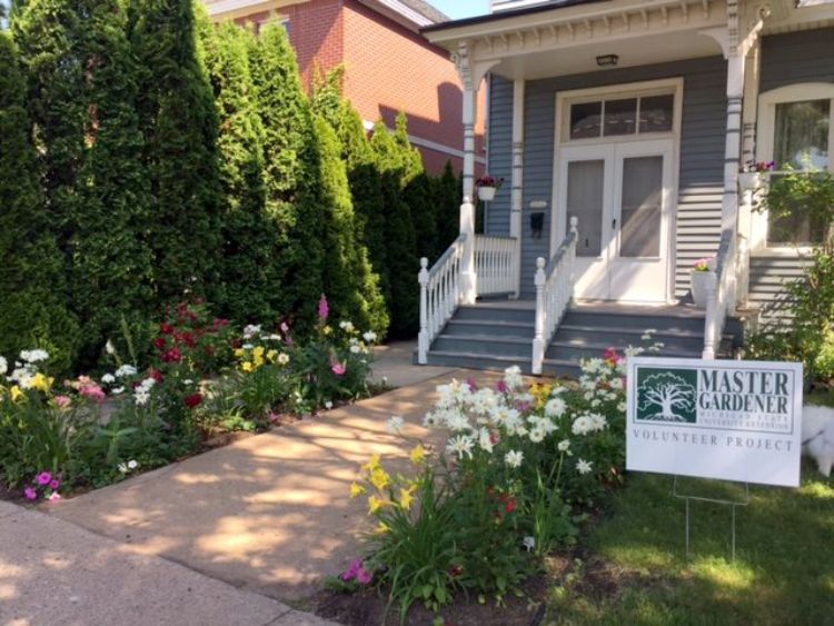 Visit the Michigan Master Gardener Program to learn more about the Master Gardener Program. Photo by Brenda Hershey, Michigan Extension Master Gardener.