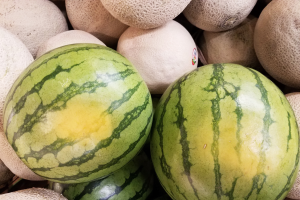 How to determine a ripe melon