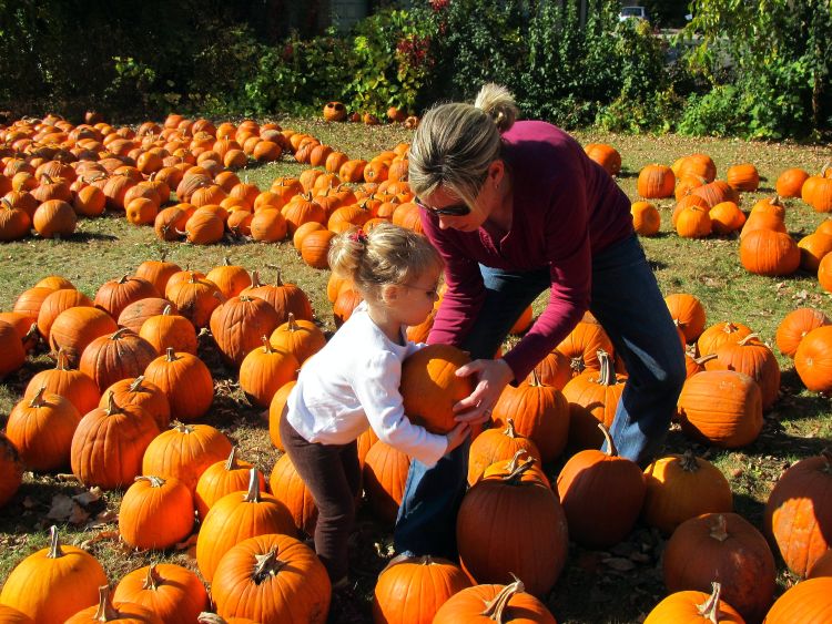 Try visiting a pumpkin patch this fall. Photo by clarkmaxwell, Flickr Creative Commons