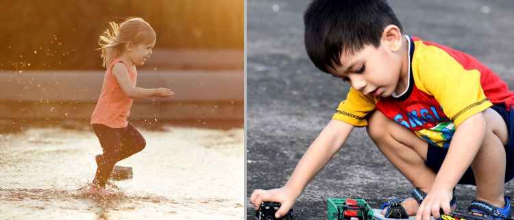 The Nine Traits Of Temperament Activity Level Msu Extension