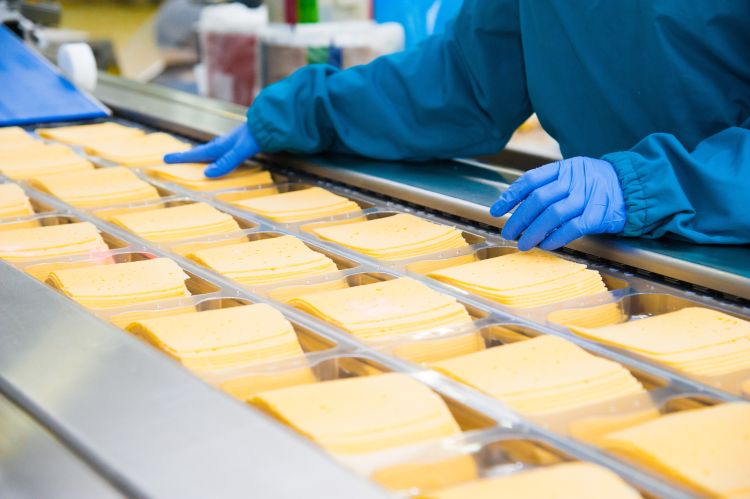 Cheese slices on conveyor belt with gloved hands of worker in view.