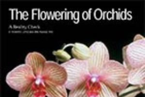 The flowering of orchids - A reality check