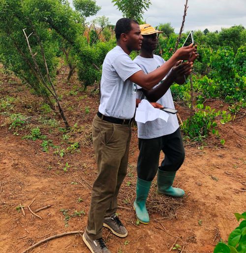 Eric Owusu Danquah (left) conducts field study with a local farmer.