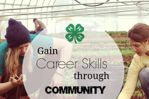 Youth can gain career skills through community service