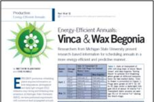 Energy-efficient annuals 10: Vinca & wax begonia