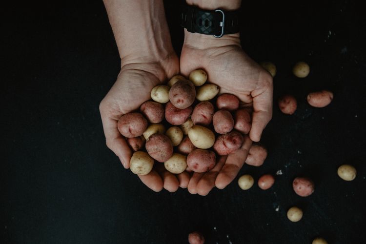 How to Grow Potatoes in a Bag - Food Gardening Network