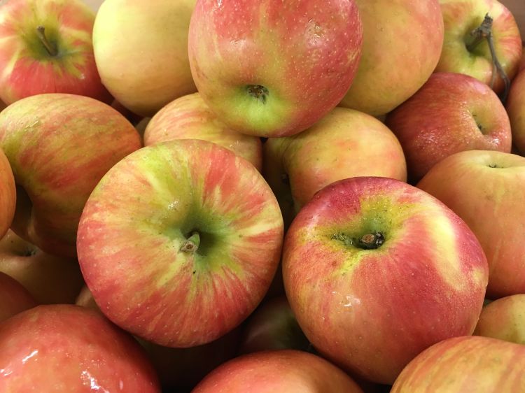 Honeycrisp apples