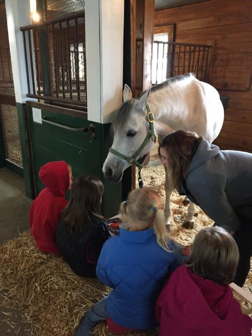 Students read to horses at MSU's Horse Teaching and Research Center