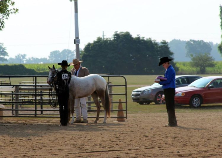 Photo by Amanda Radtke | Michigan State University Extension