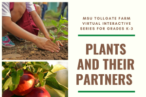 CANCELLED: MSU Tollgate Farm 4-H Fall Virtual Plants and Their Partners Interactive Week-long Series