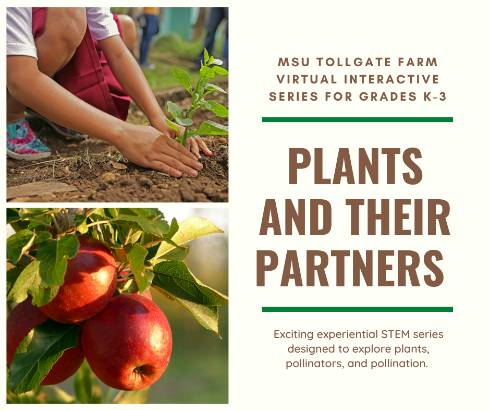 Child planting plant. Apples on tree. Plants and their partners. Exciting experiential STEAM series designed to explore plants, pollinators, and pollination.