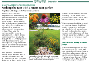 Smart Gardening for Shorelands: Soak Up the Rain with a Rain Garden