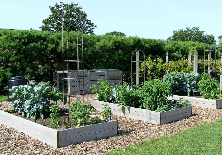 Preparing The Smart Vegetable Garden Msu Extension
